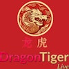Dragon Tiger square image