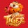 Clique para saber tudo sobre o jogo Fortune Tiger